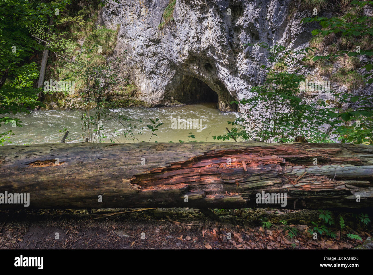 Cave and Hornad River in Slovak Paradise National Park, north part of Slovak Ore Mountains in Slovakia Stock Photo