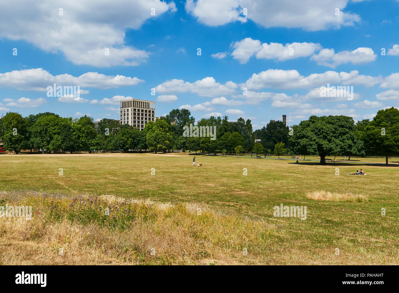 Clissold Park, London UK, during the July 2018 heatwave, with blue sky and white clouds Stock Photo
