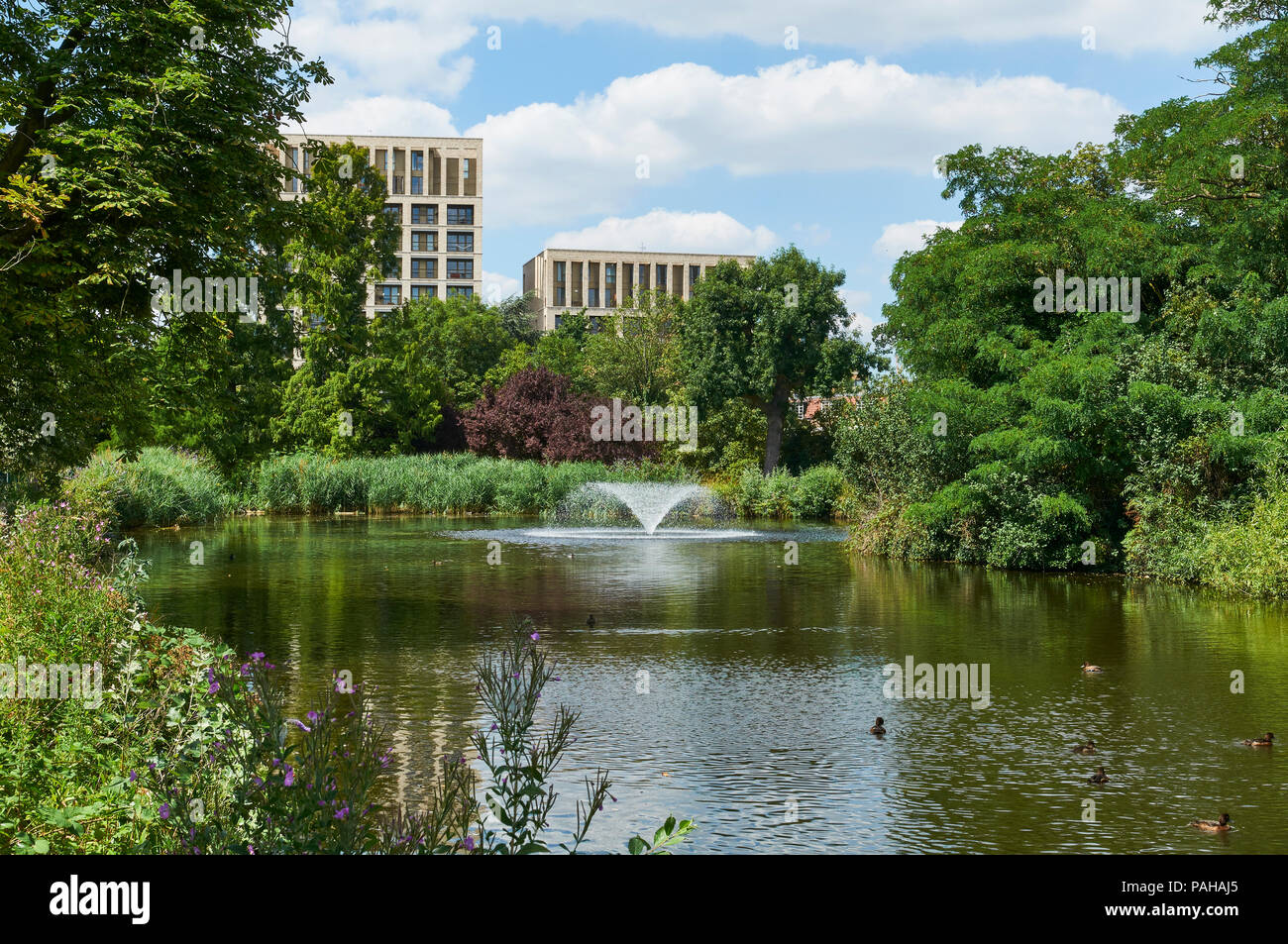 Lake at Clissold Park, Stoke Newington, North London UK, in summer, with new apartments in background Stock Photo