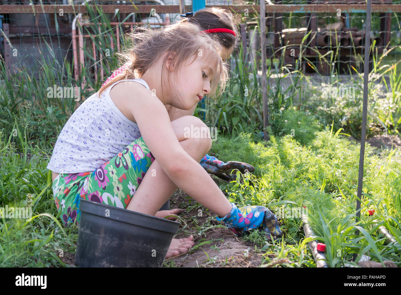 Closeup image of two teenage girls weeding garden bed. Female Gardening