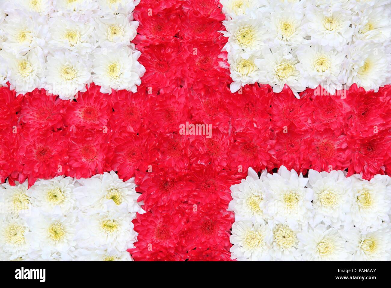 Flag of England made of red and white flowers Stock Photo