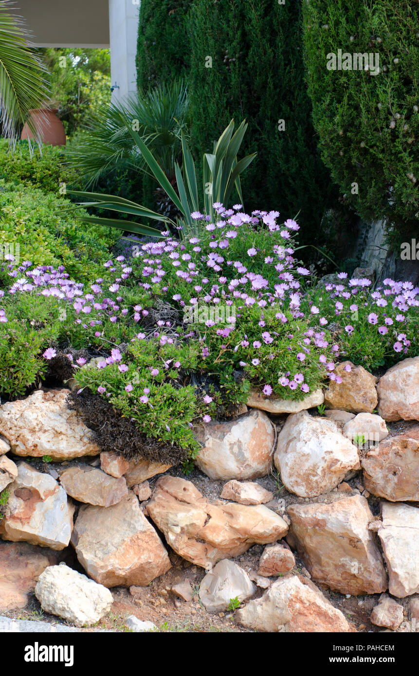 Rockery landscape hi-res stock photography and images - Alamy