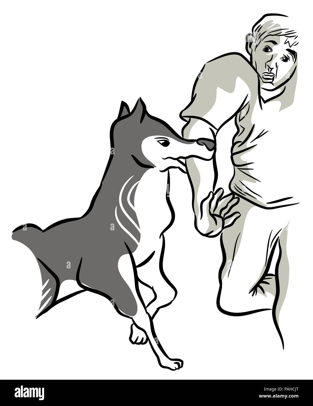 Dog biting. Angry dog biting hand. illustration of dog keeps biting man