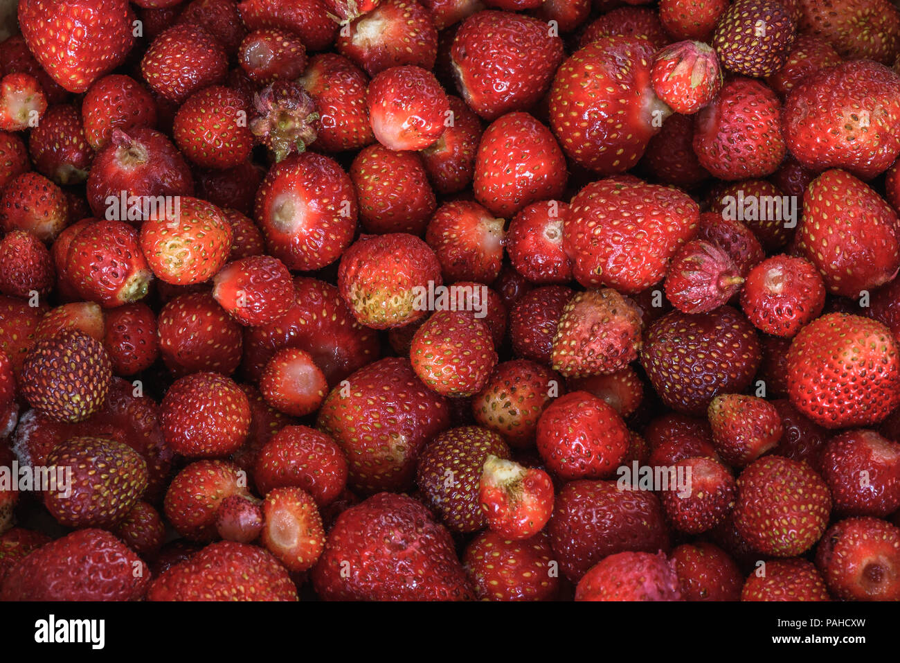 harvest fresh and ripe strawberry background wallpaper Stock Photo - Alamy