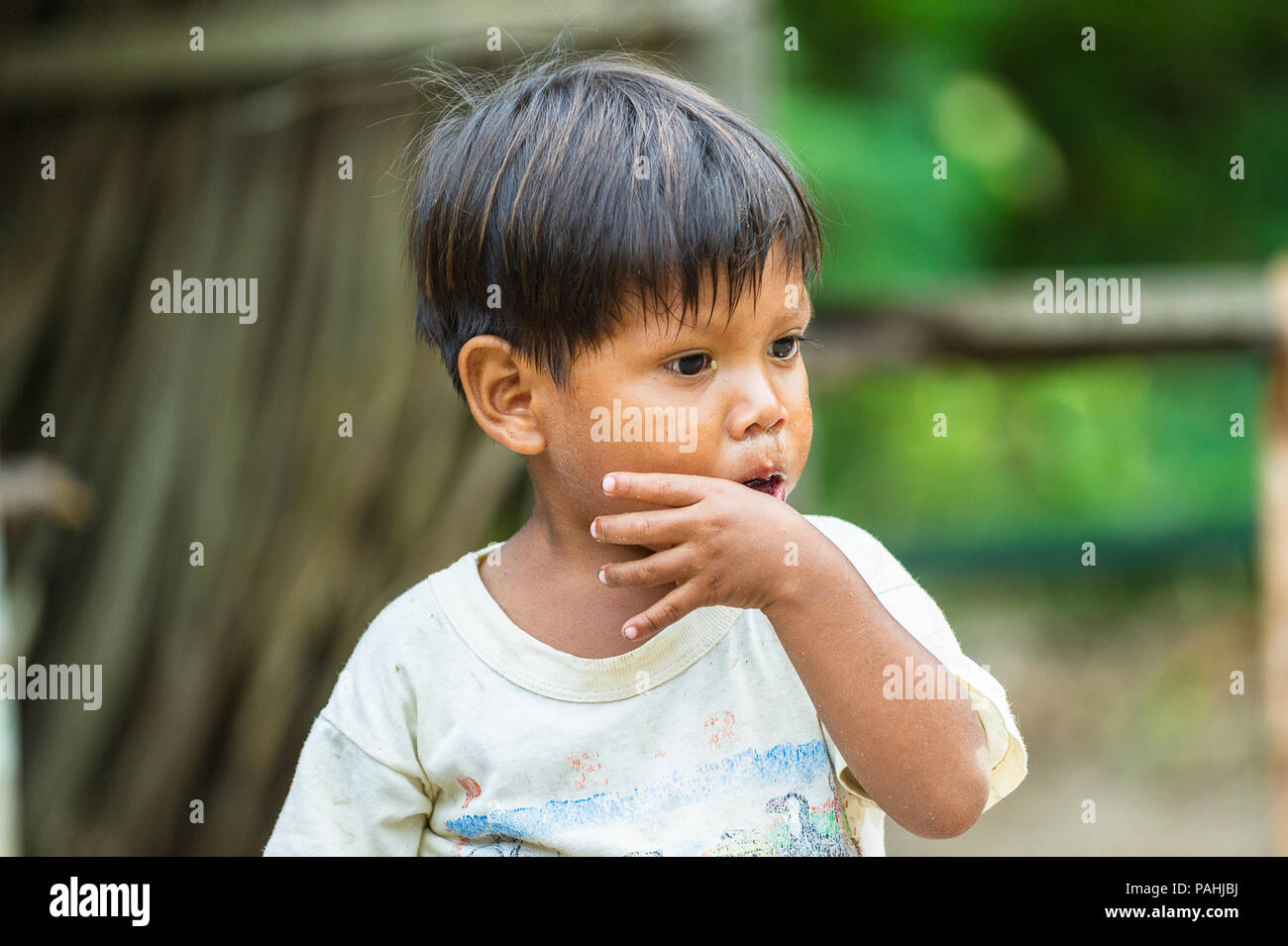 AMAZONIA, PERU NOV 10, 2010 Unidentified Amazonian indigenous boy