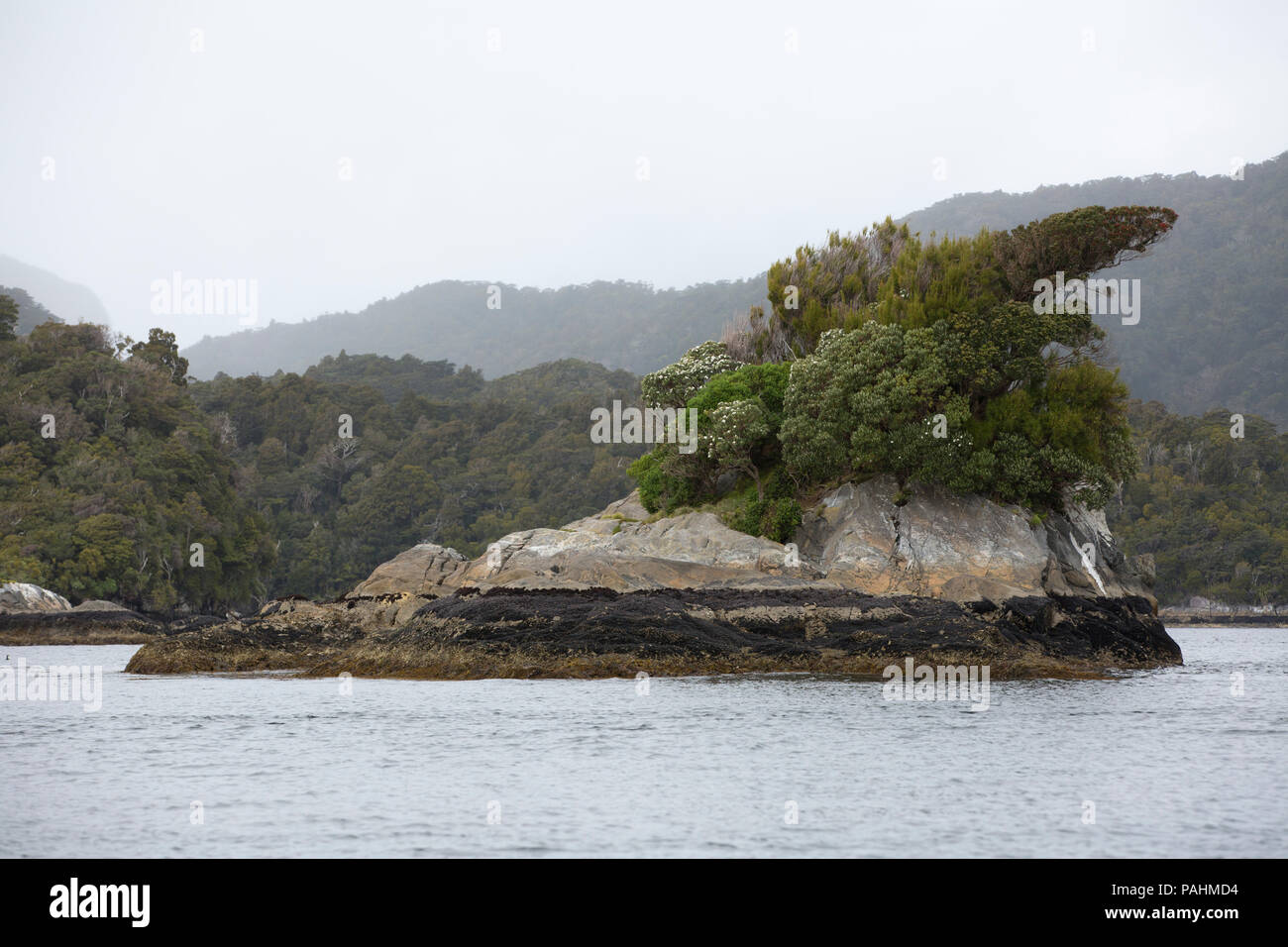 Dusky Sound landscape, Fiordland, New Zealand Stock Photo