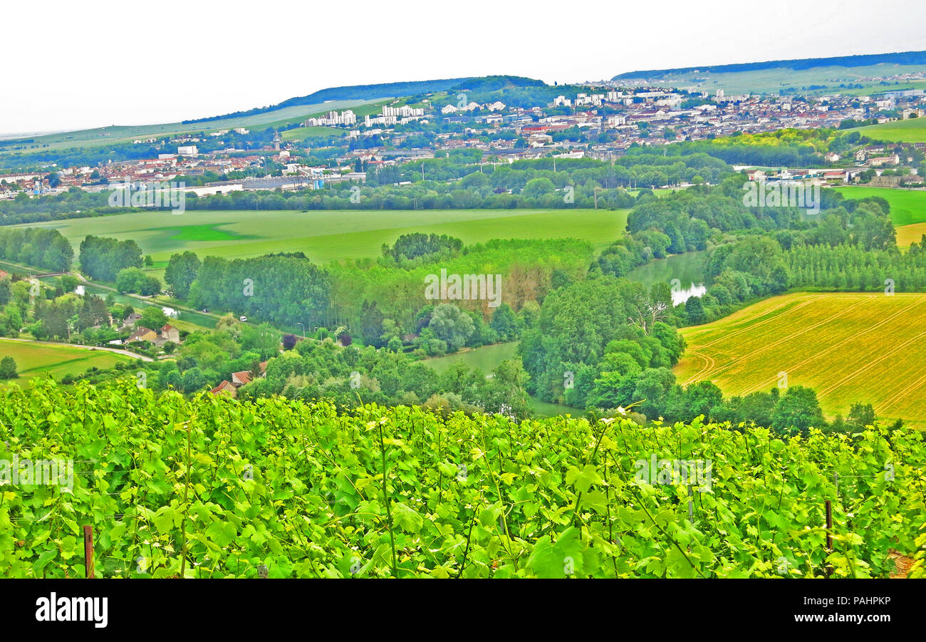 Champagne vineyard, in the background the city of Epernay, Marne, Champagne-Ardennes, France Stock Photo