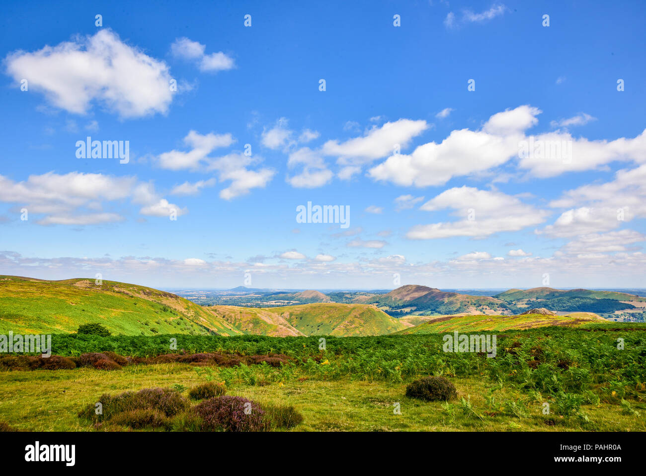 A view from Long Mynd in the Shropshire hills Stock Photo - Alamy