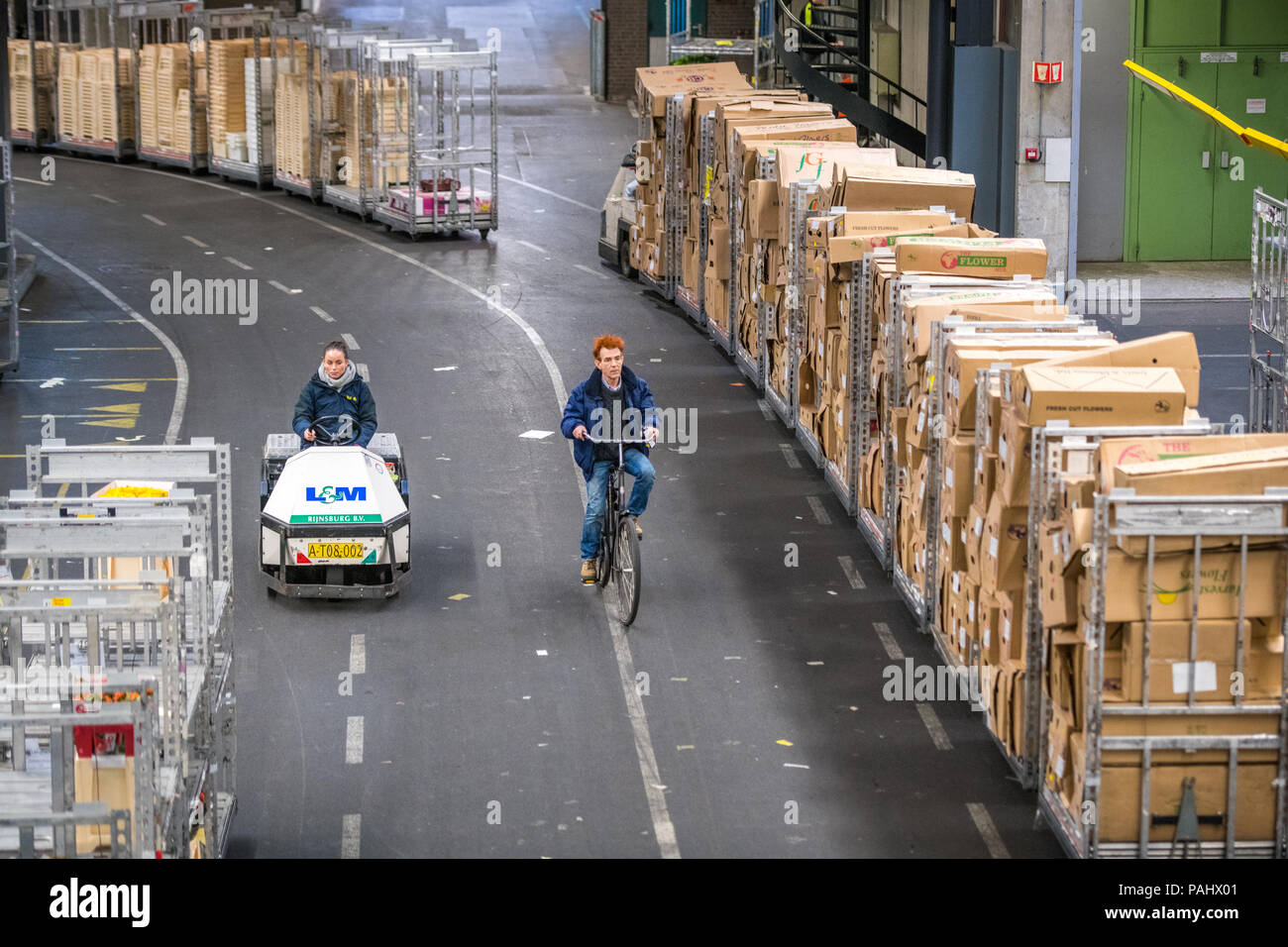 Carts of flowers being transported in a warehouse at the worlds largest