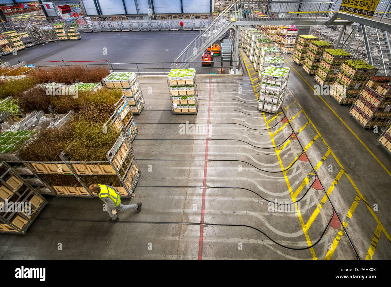 Carts of prepared flowers in a warehouse at the worlds largest flower