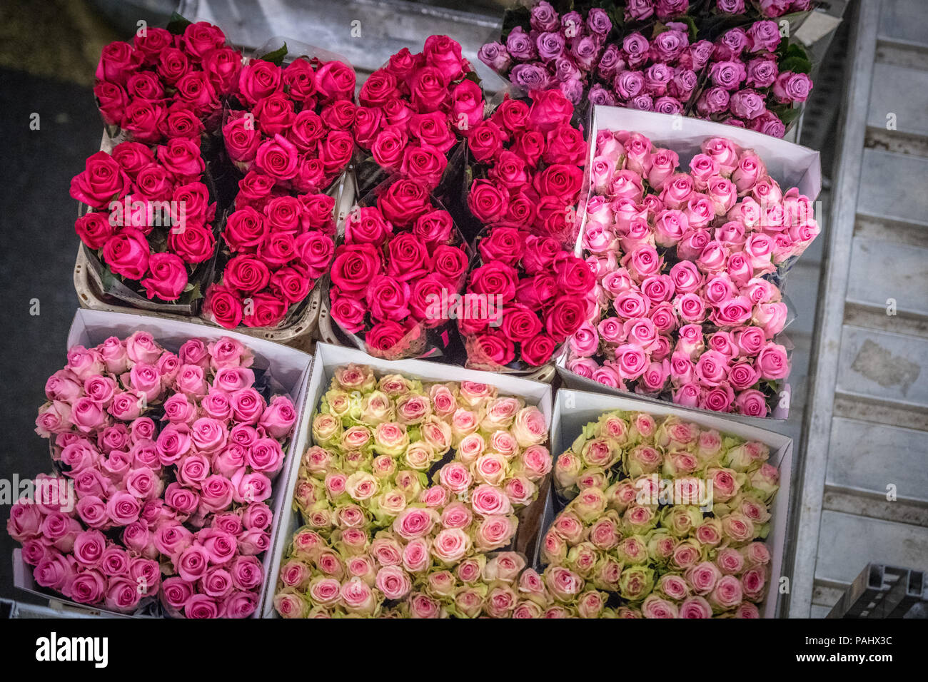 A cart full of various roses at the worlds largest flower auction