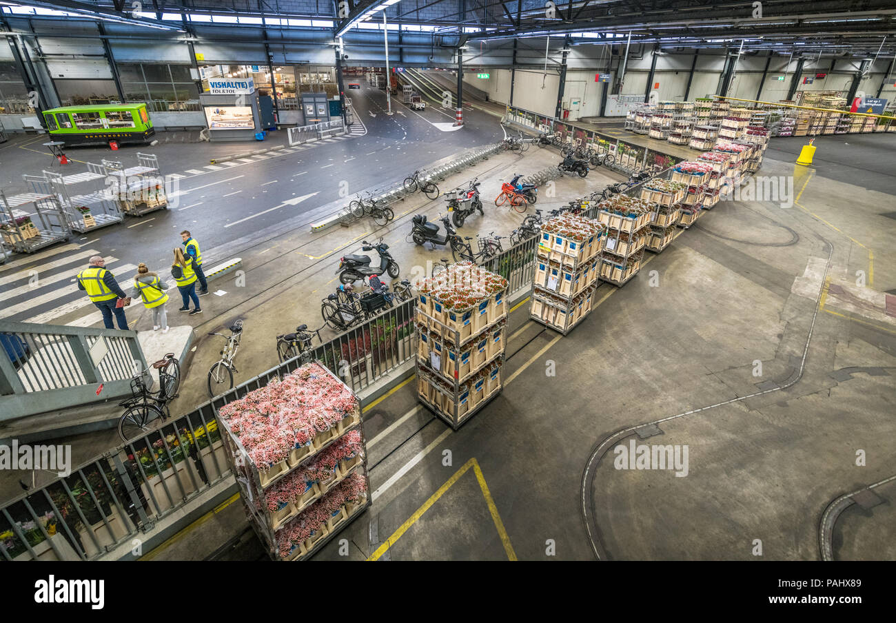 The warehouse at the worlds largest flower auction, Royal Flora Holland