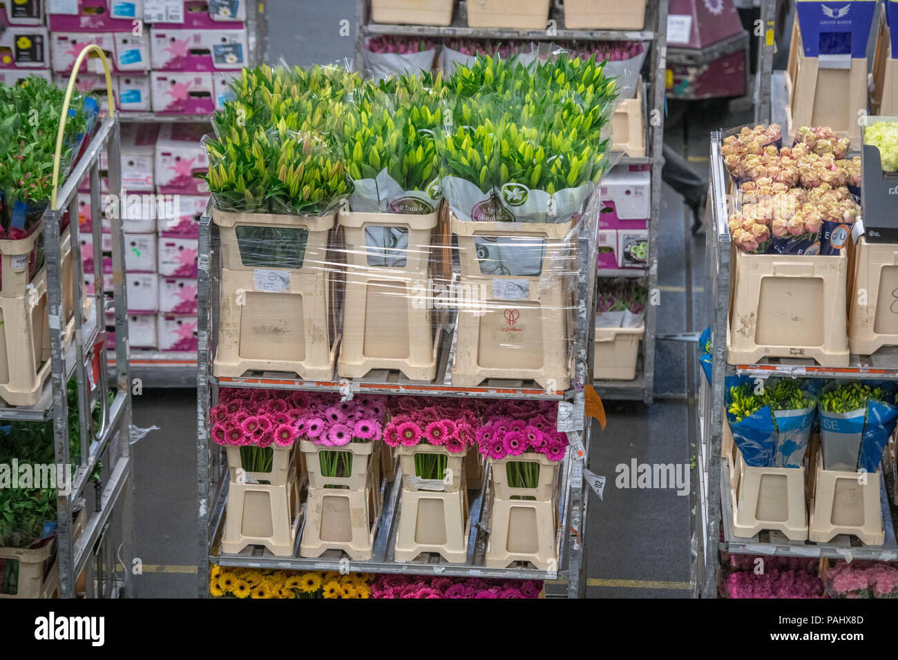 A cart full of various flowers at the worlds largest flower auction