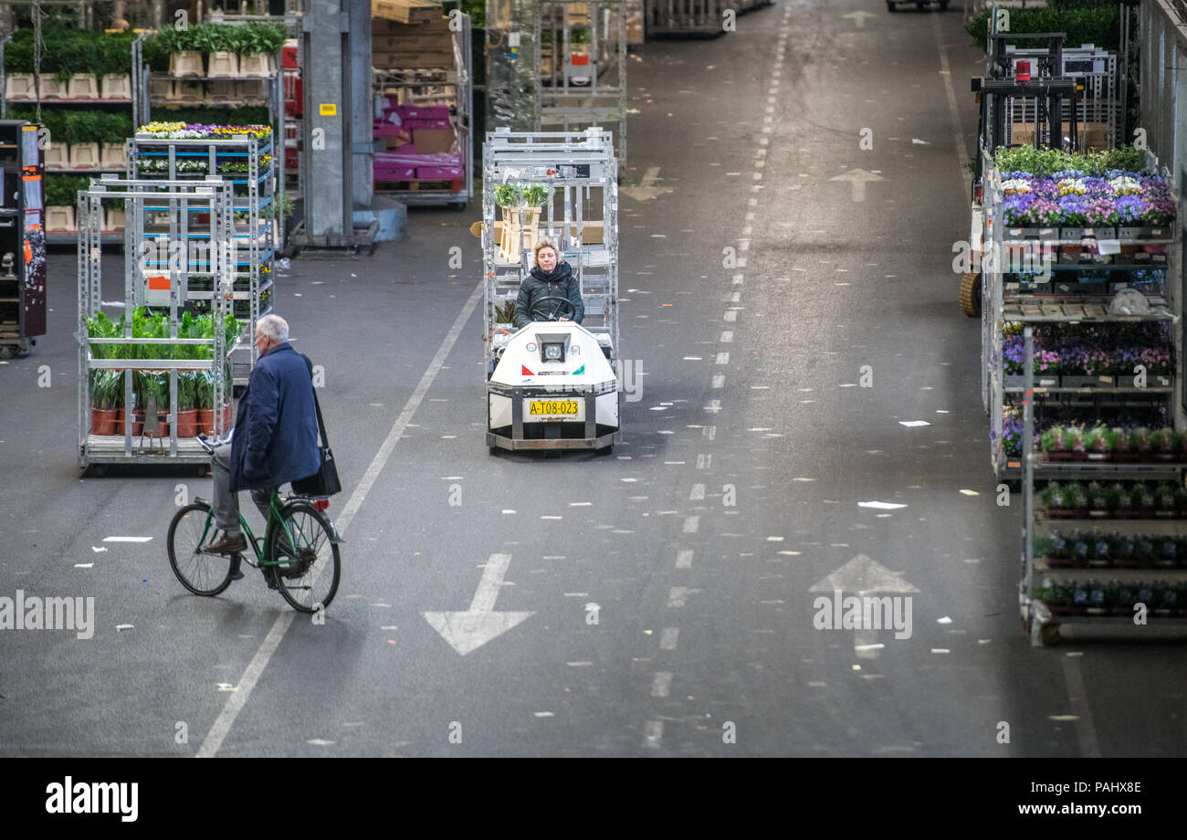 The warehouse at the worlds largest flower auction, Royal Flora Holland