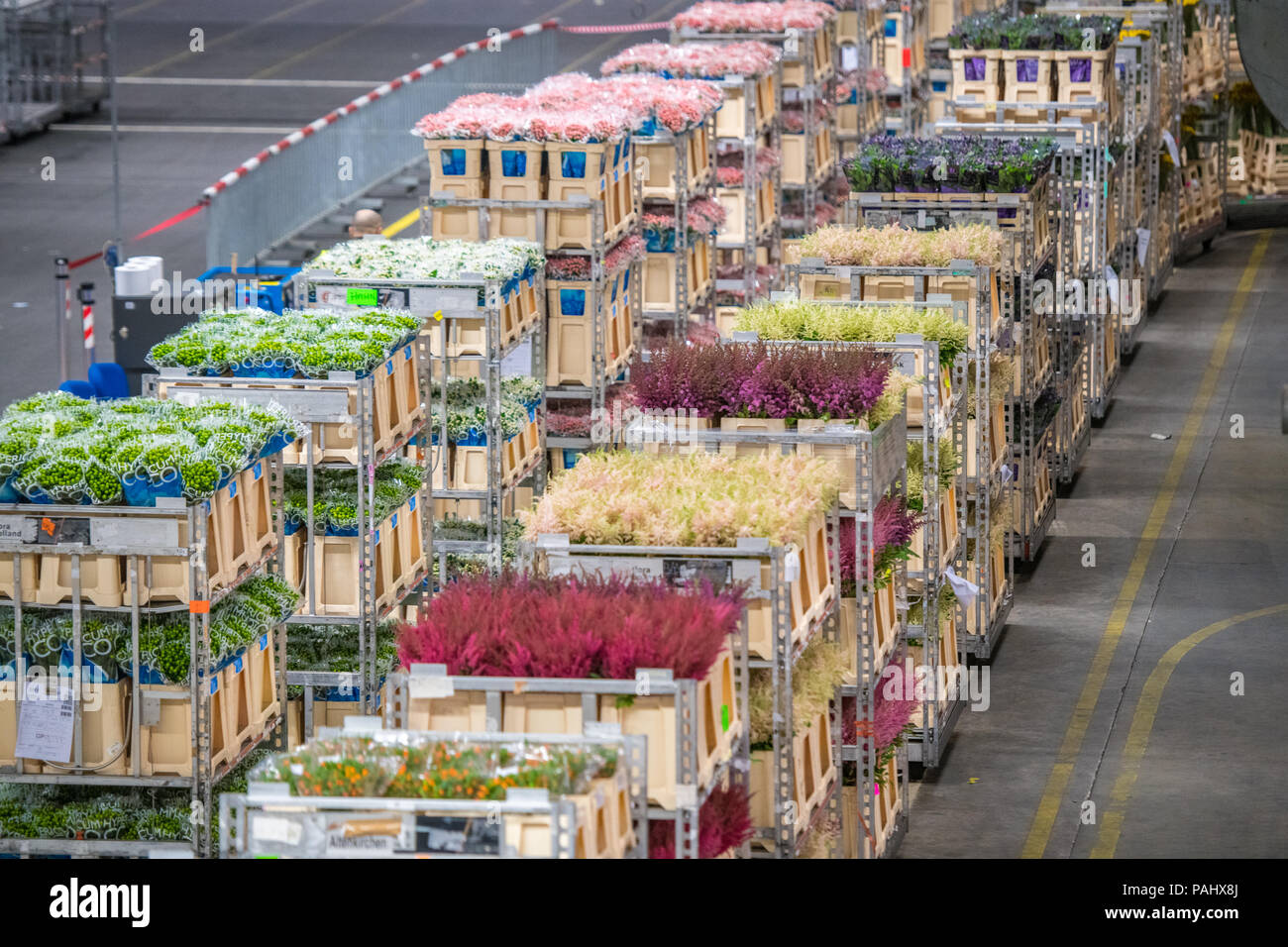 A cart full of various flowers at the worlds largest flower auction
