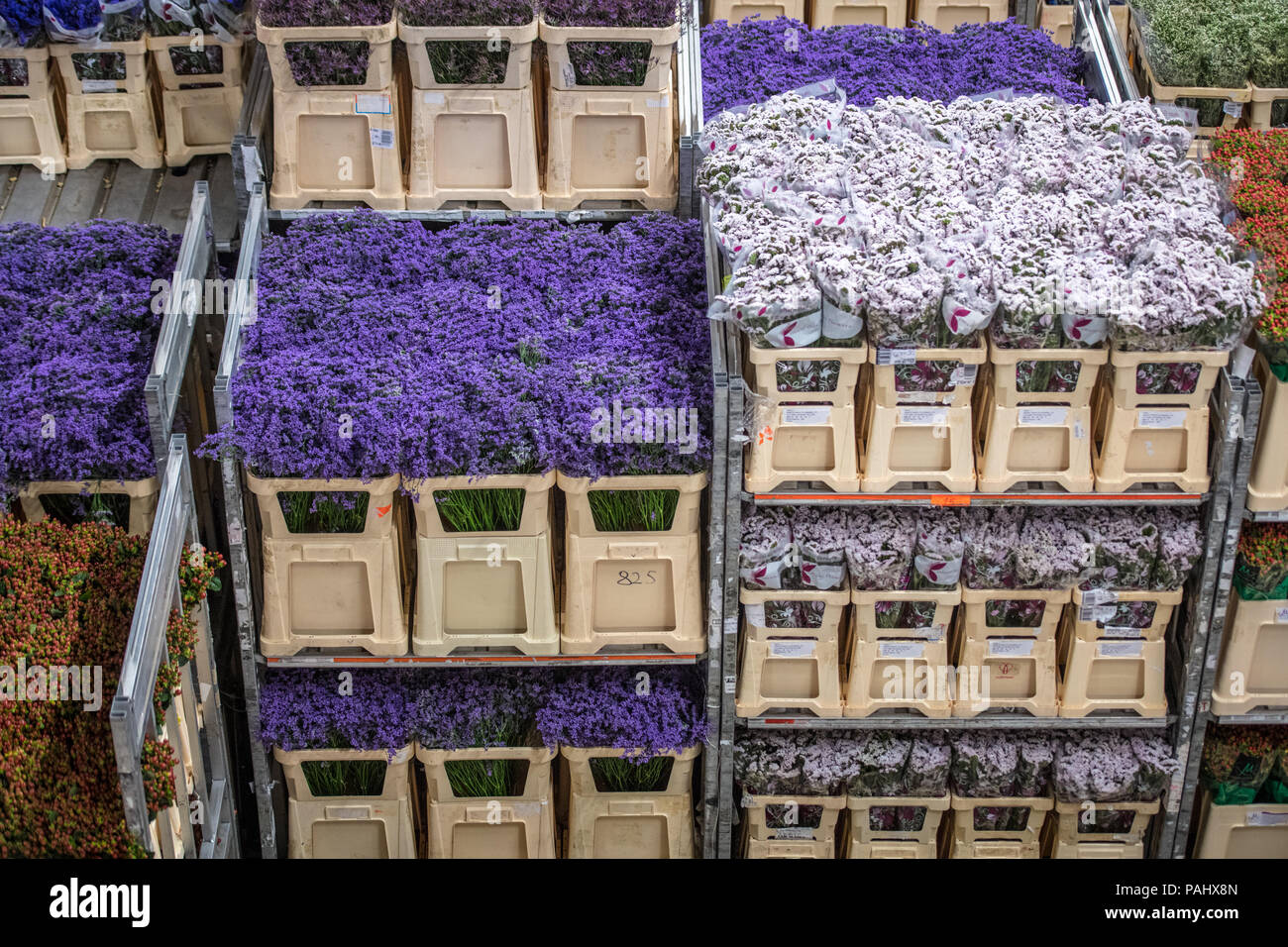 A cart full of various flowers at the worlds largest flower auction