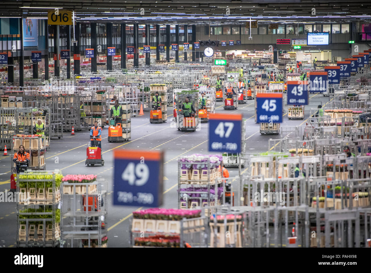 Workers in the warehouse at the worlds largest flower auction, Royal Flora Holland use machinery