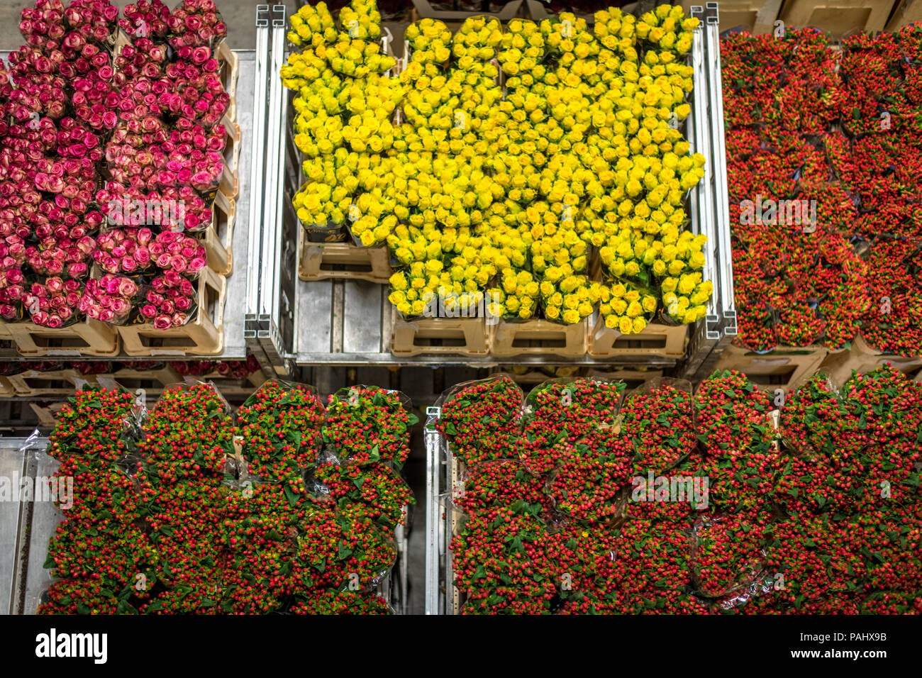 A cart full of various varieties of roses at the worlds largest flower