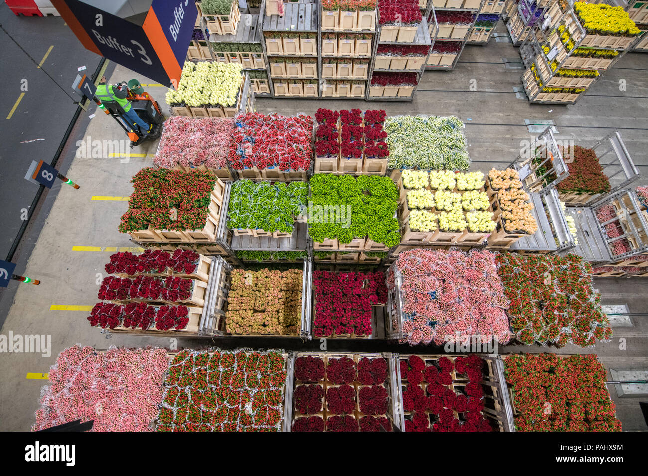 A cart full of various varieties of roses at the worlds largest flower