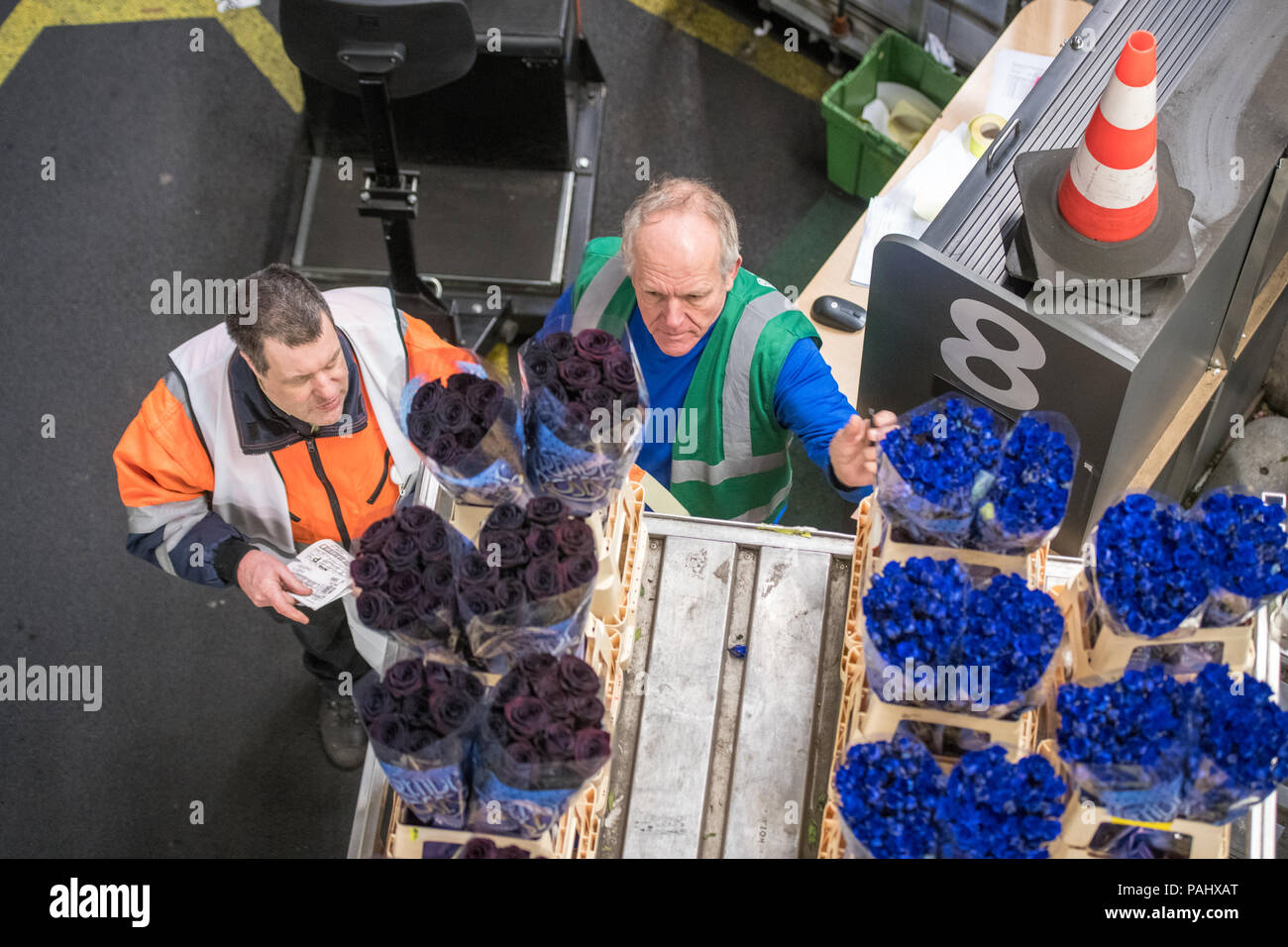 Workers in the warehouse at the worlds largest flower auction, Royal Flora Holland examine