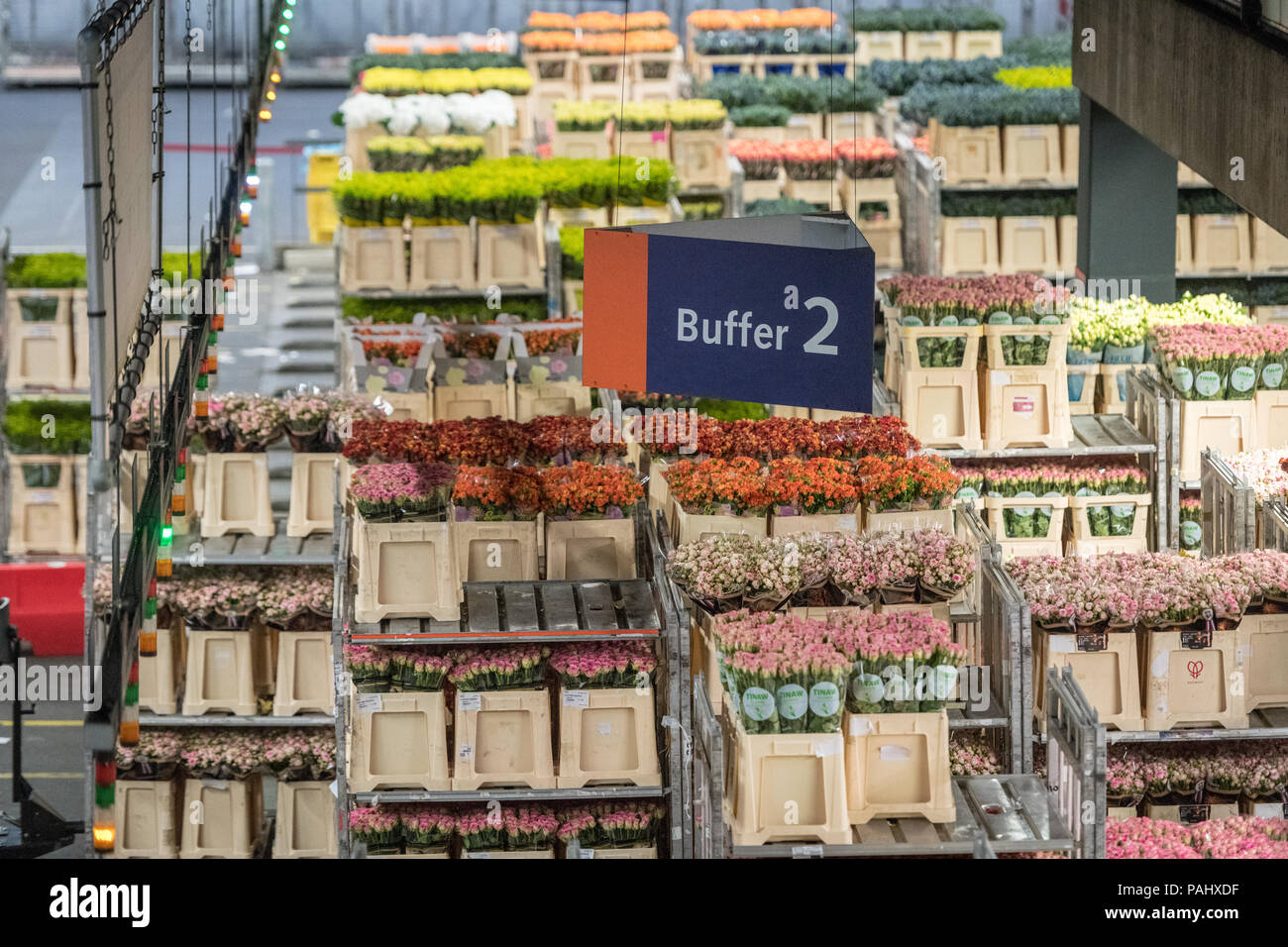 A cart full of various varieties of roses at the worlds largest flower