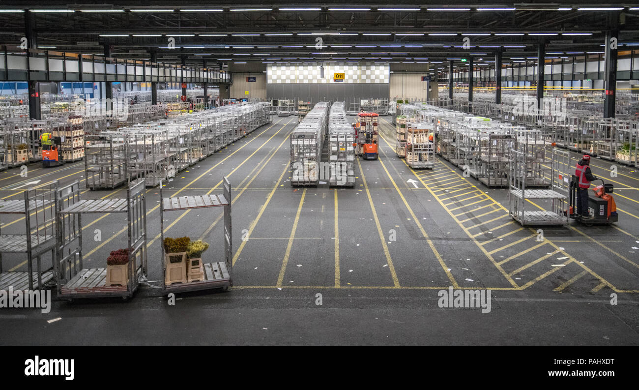 The warehouse at the worlds largest flower auction, Royal Flora Holland