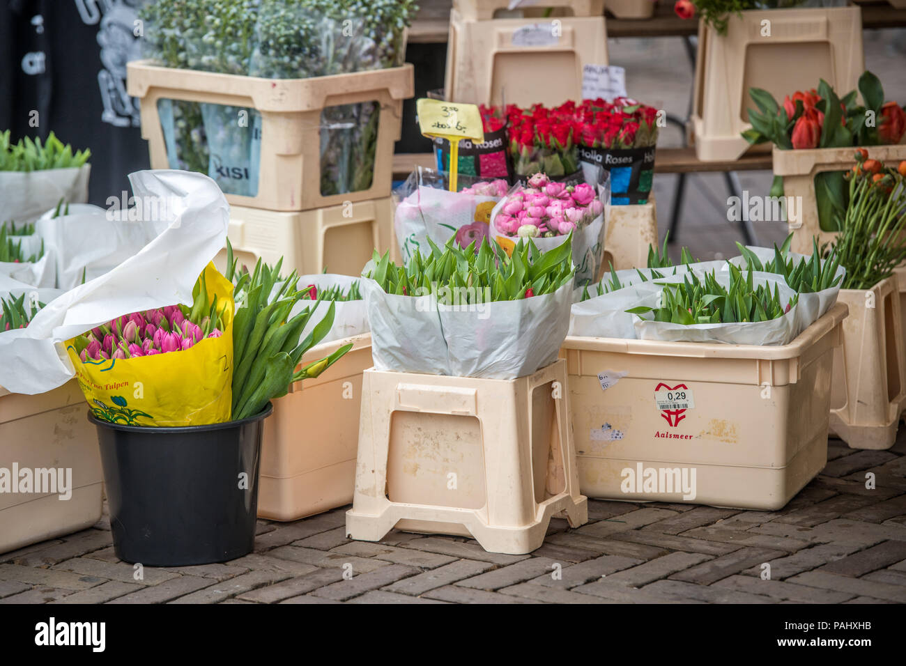 Colorful closed tulips (Tulipa) in bouquets and bulbs in Amsterdam, Netherlands Stock Photo