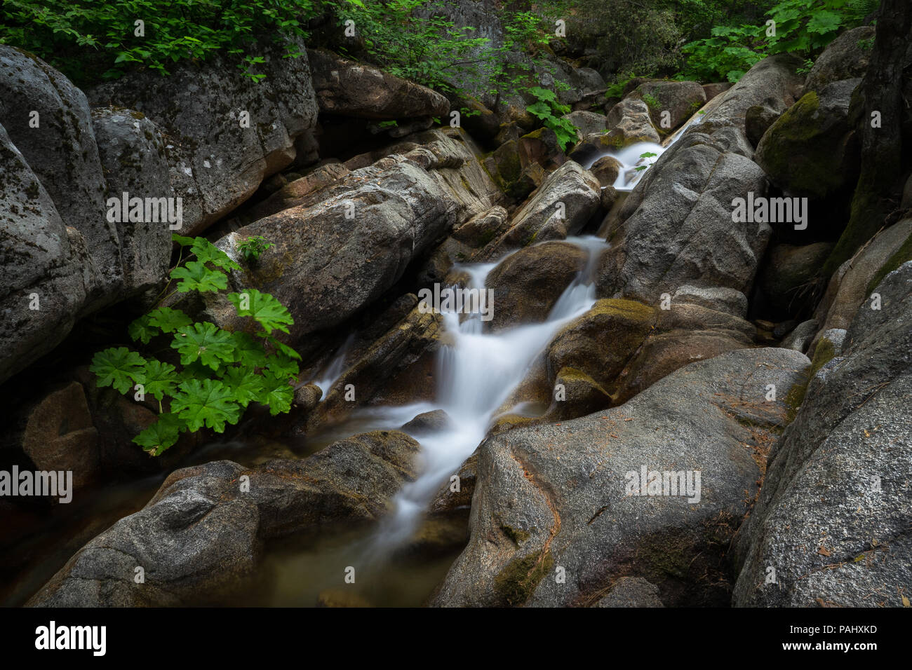 Tamarack hires stock photography and images Alamy