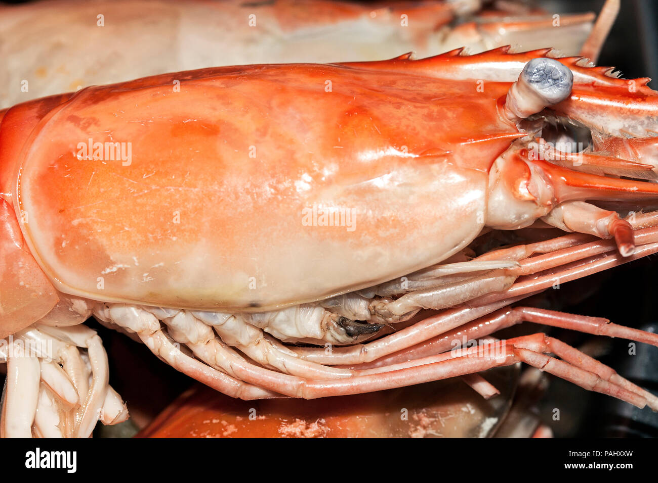 prawn head seafood cooked red close up Stock Photo Alamy
