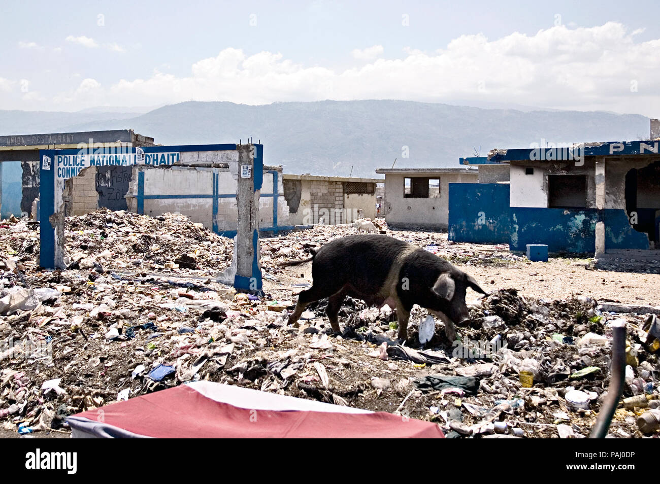 A police station destroyed by the local gangs known as “Chimere” or ‘monsters’.  Cite Soleil. Stock Photo