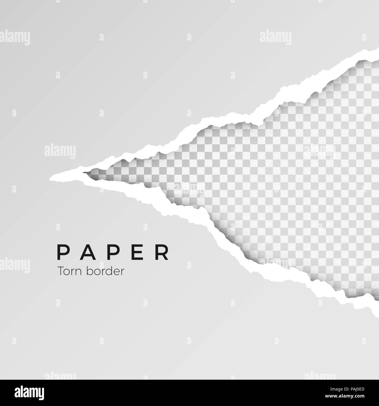Gray ripped open paper with transparent background. Torn paper sheet. Torn  paper edge. Paper texture. Vector illustration Stock Vector