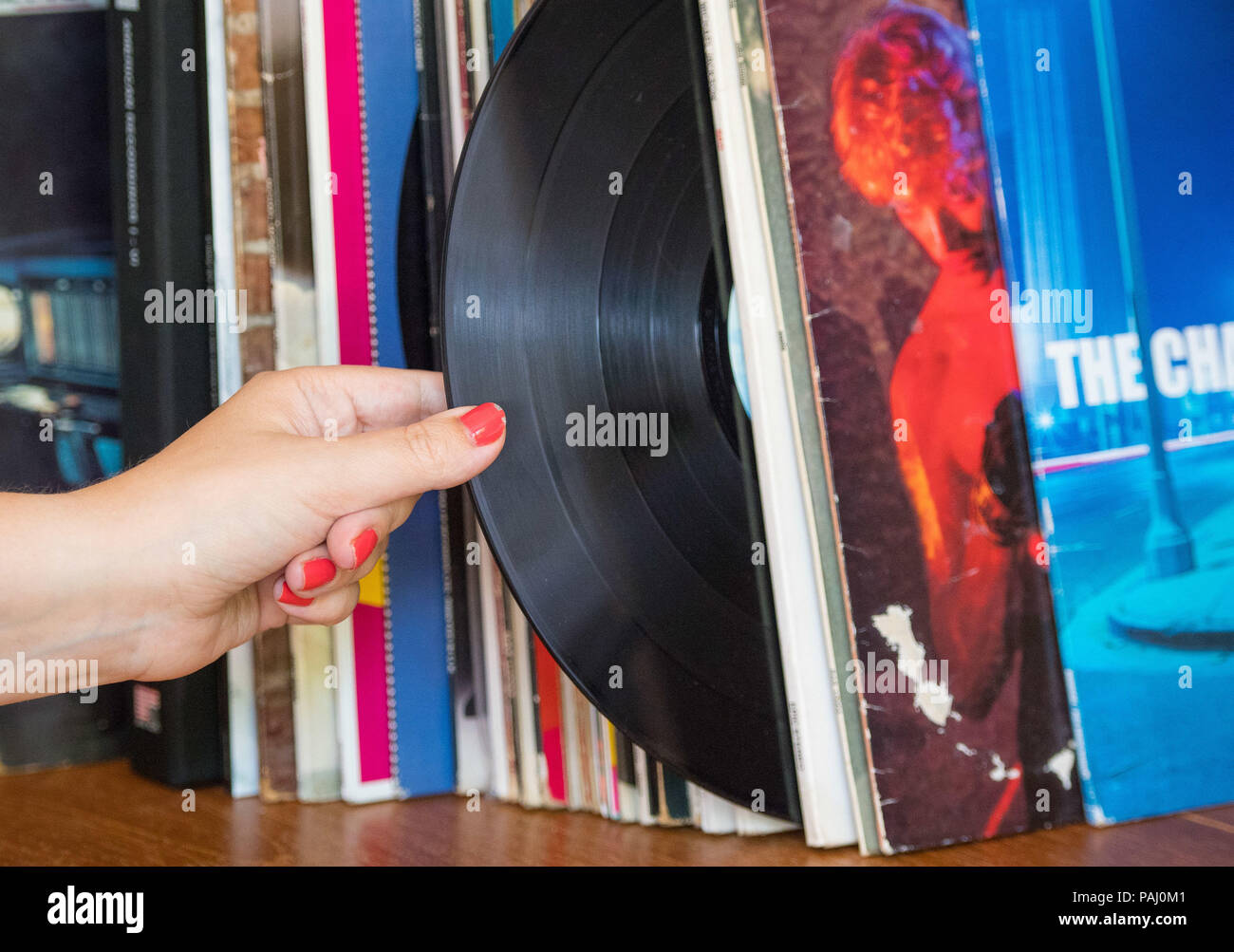 Vinyl Records, Music