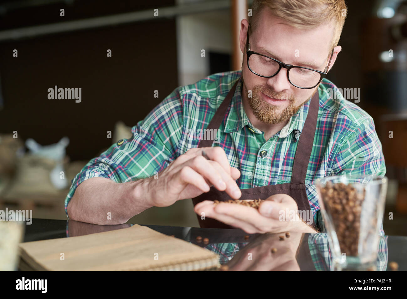 Coffee Roaster Examining Beans Stock Photo