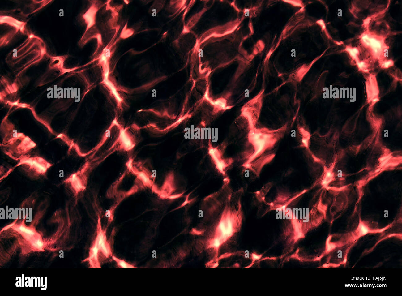 Red fire on black background. Abstract red waves on the dark background illustration Stock Photo
