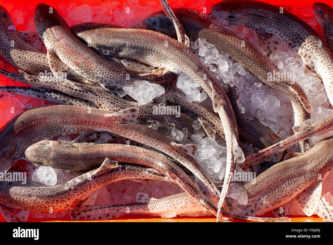 Fish, fishmarket Stock Photo