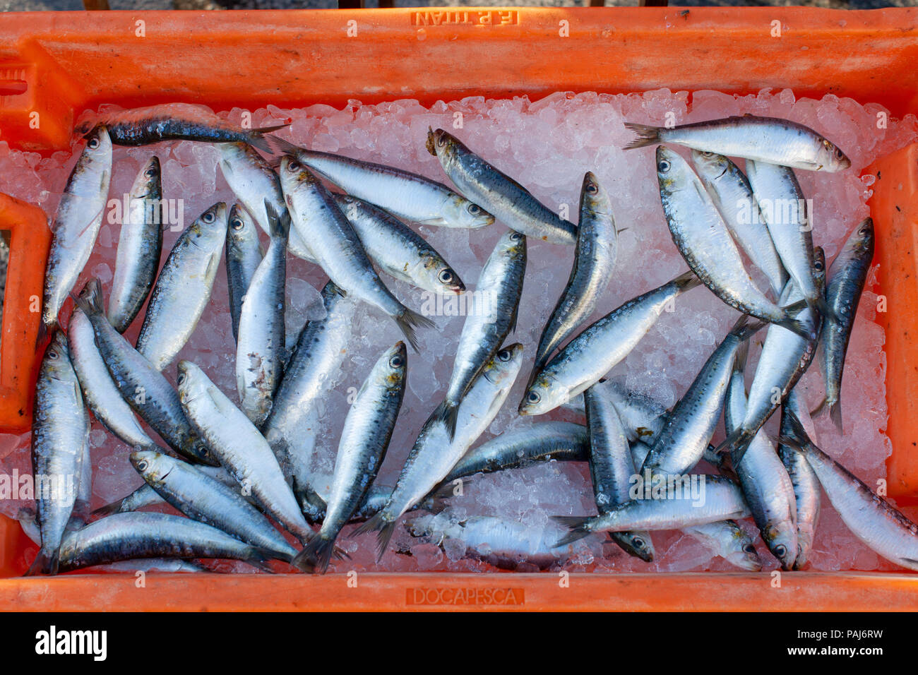 Fish, fishmarket Stock Photo