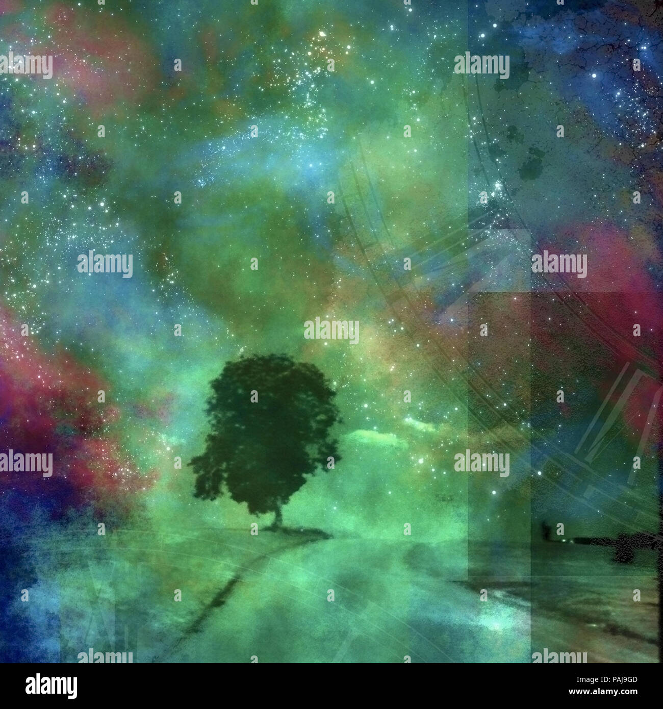 Abstracted forest view hi-res stock photography and images - Alamy