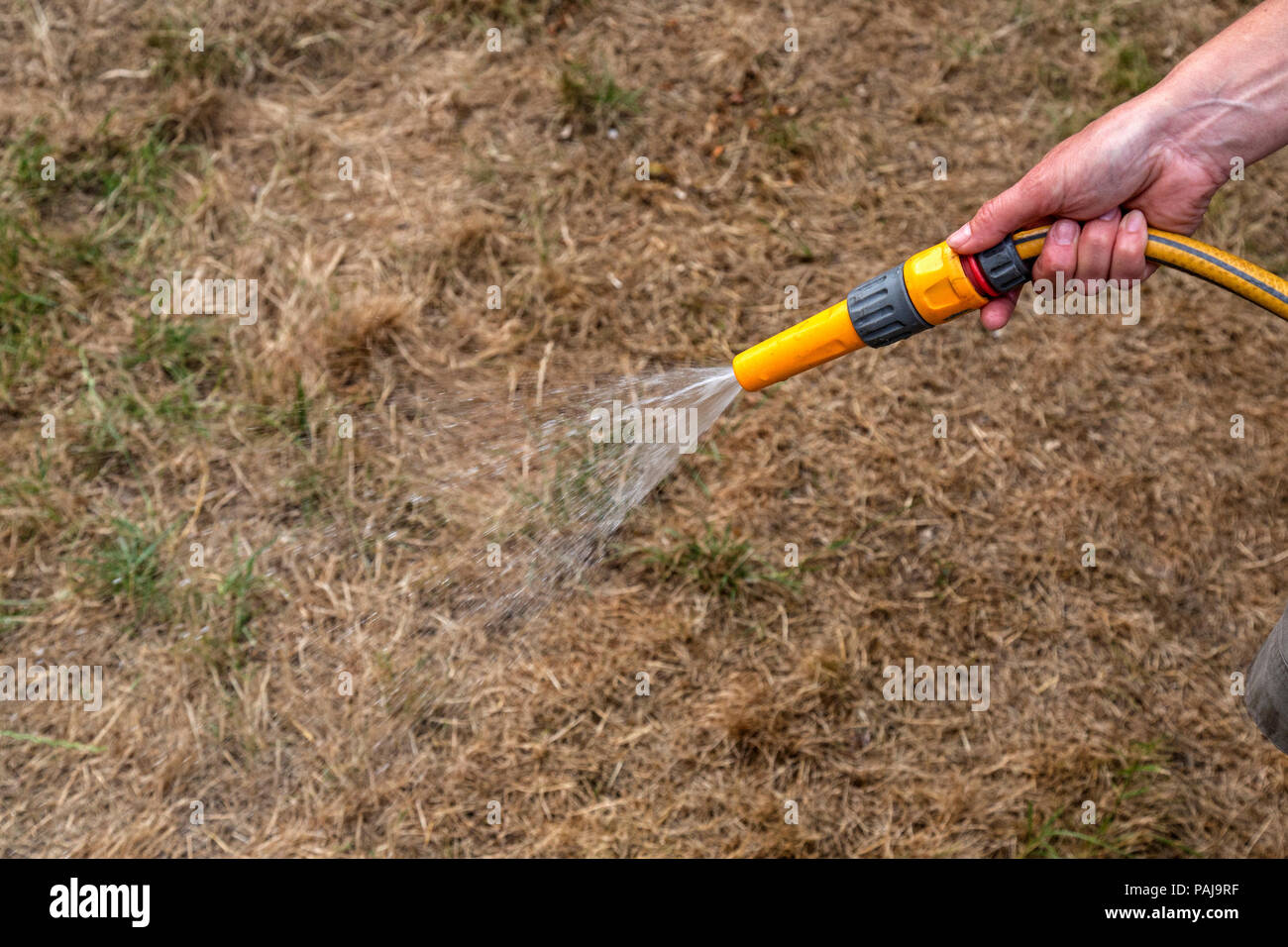 A garden hose pipe watering a dry, brown, area of grass lawn. Single hand in view. Stock Photo