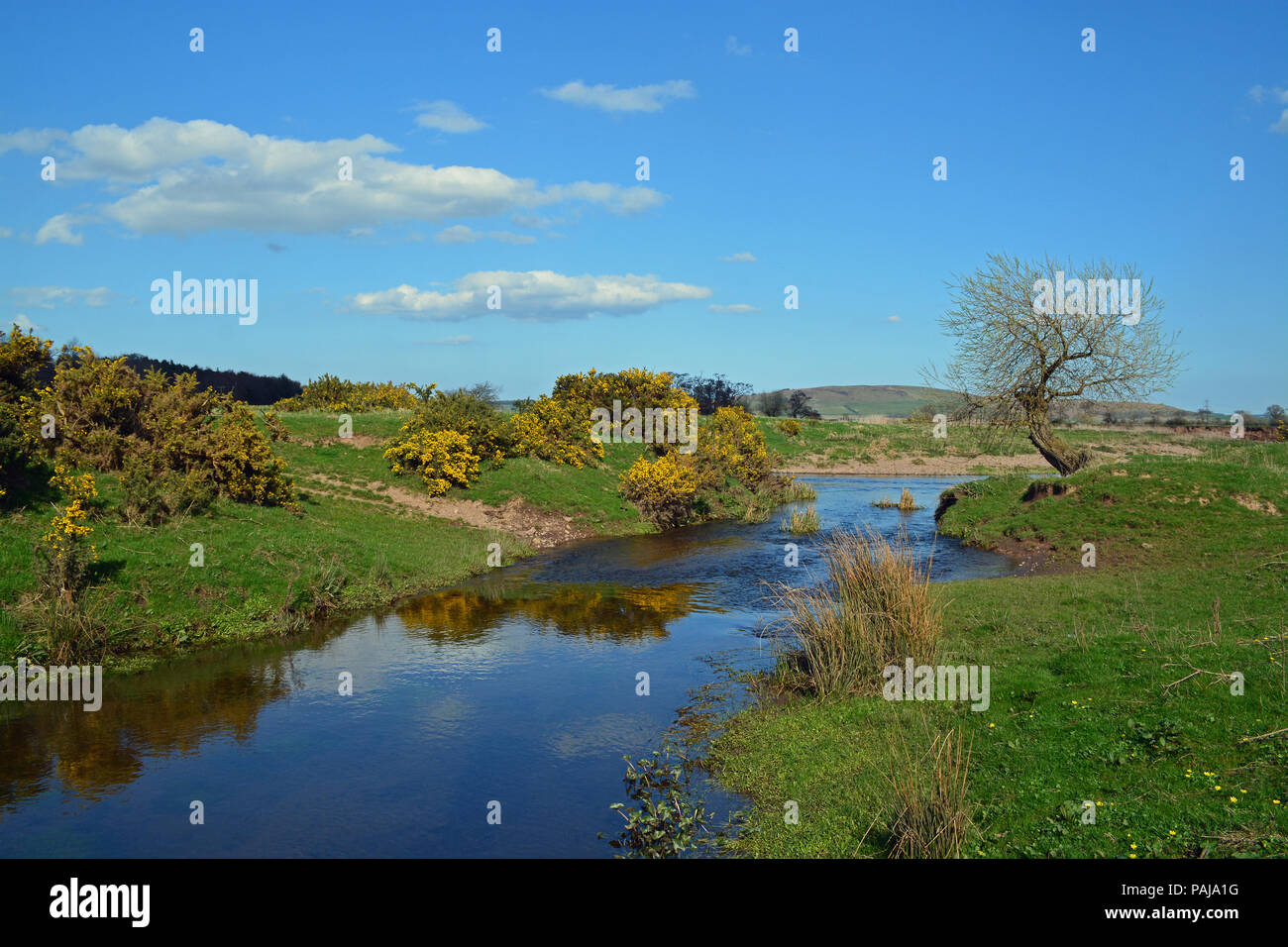 River Till, Northumberland Stock Photo Alamy