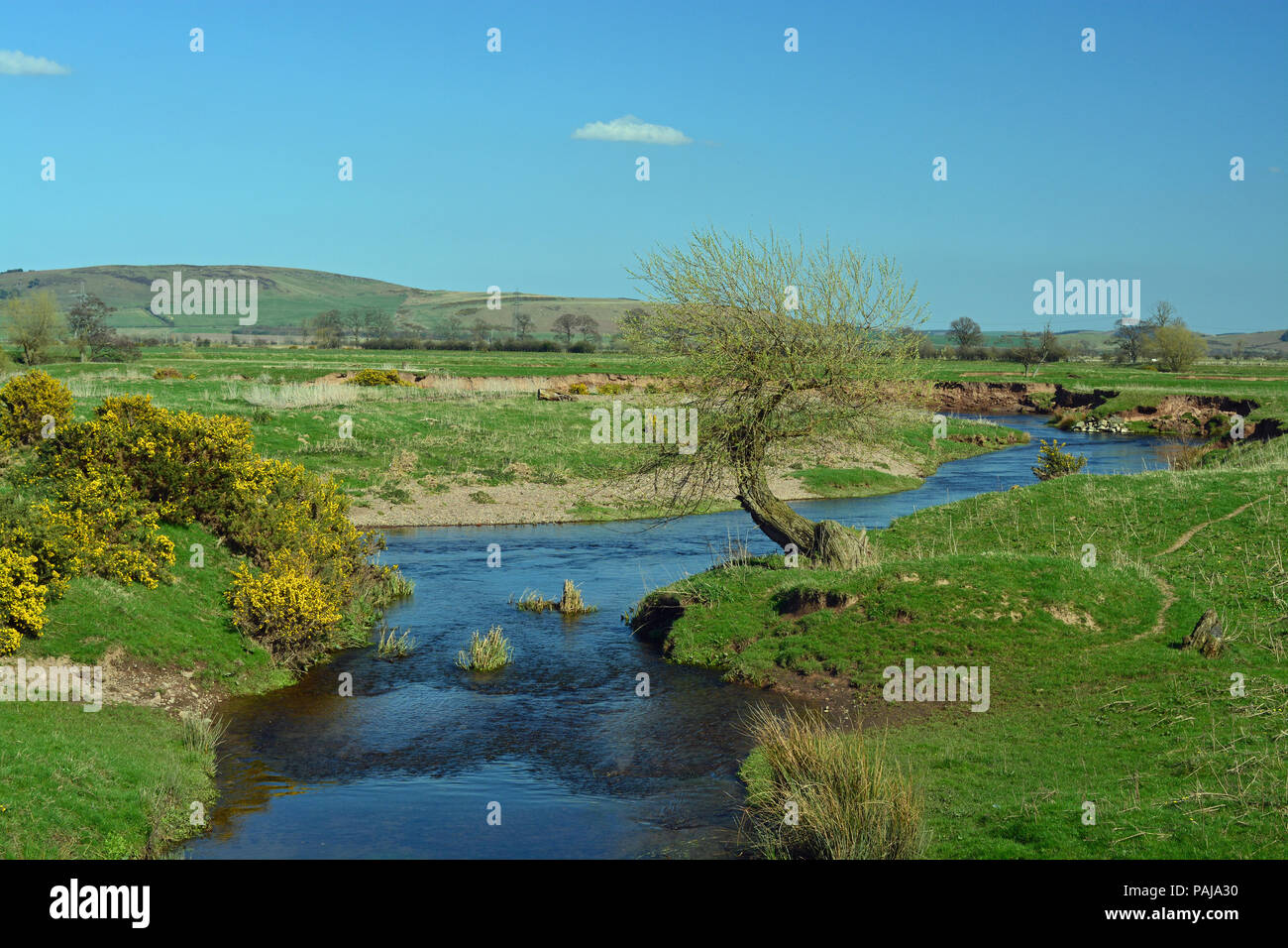River Till, Northumberland Stock Photo Alamy