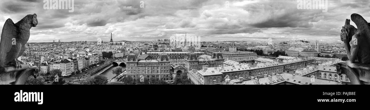Landscape of Paris seen from Notre Dame Stock Photo