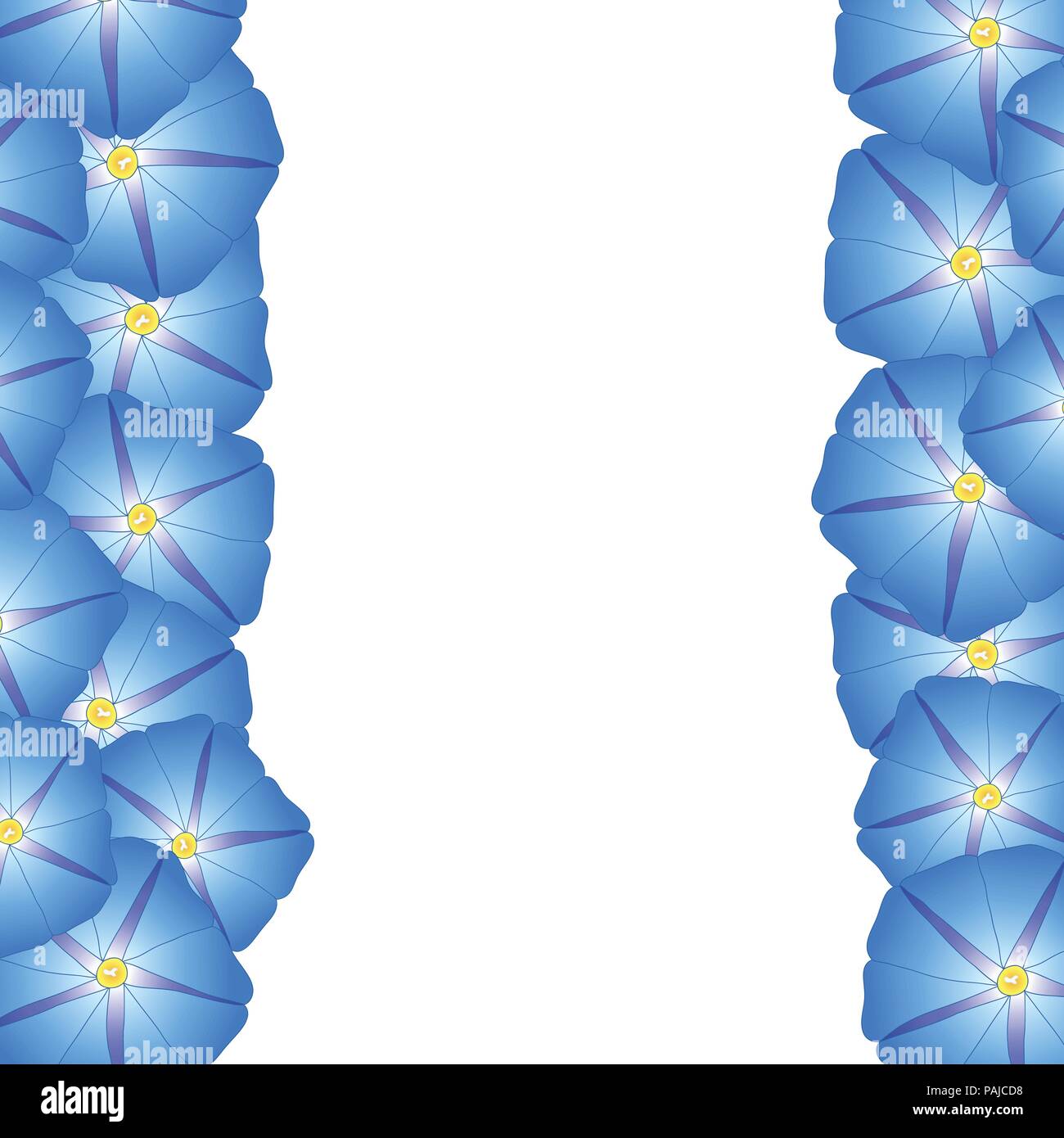 Blue Morning Glory Flower Border. Vector Illustration Stock Vector