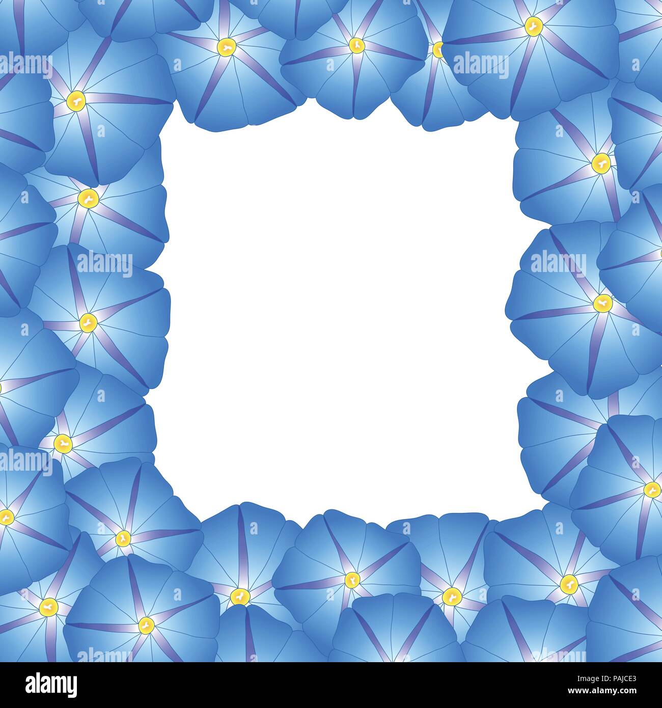 Blue Morning Glory Flower Border. Vector Illustration Stock Vector