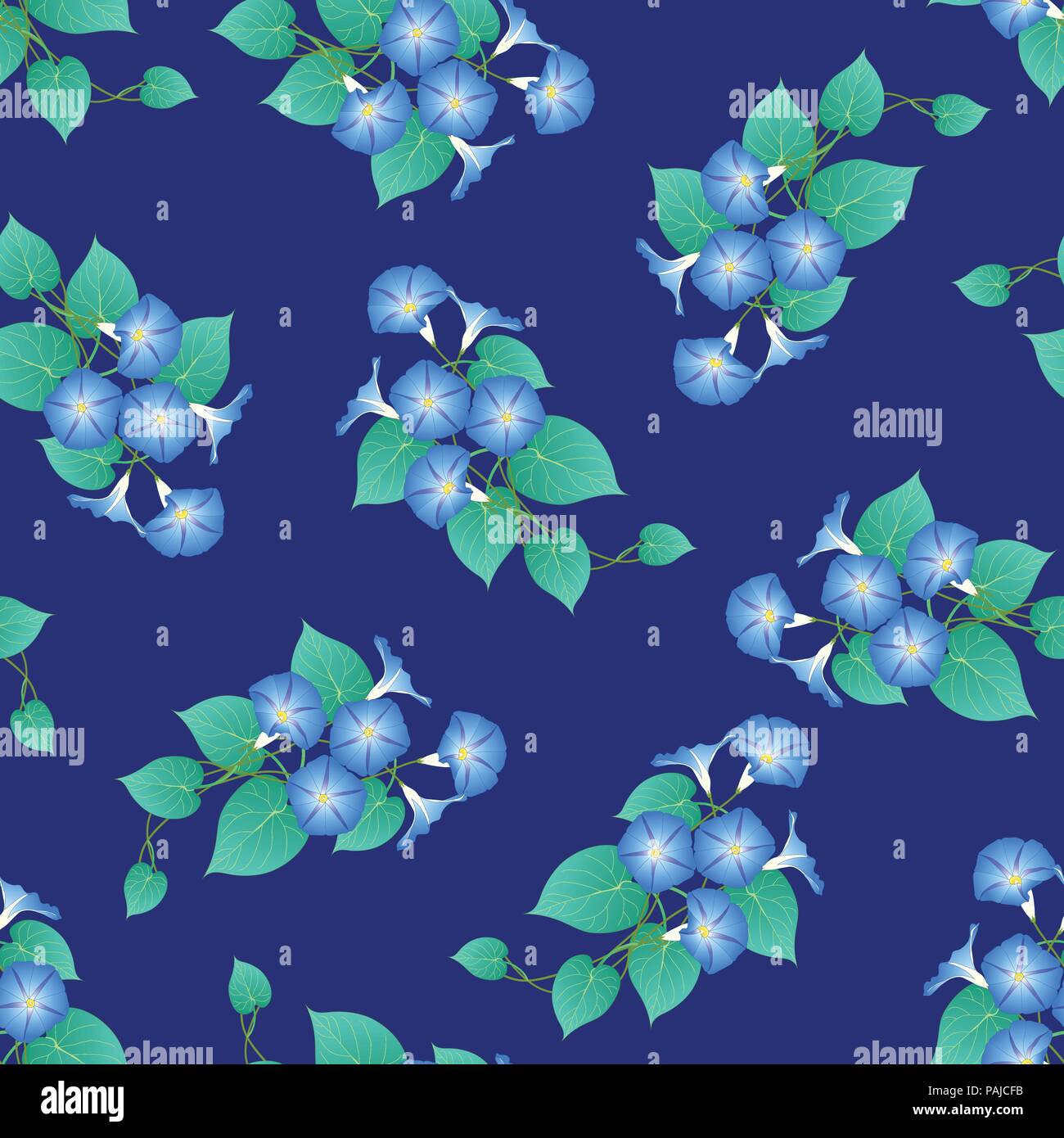 Blue Morning Glory on Navy Blue Background. Vector Illustration Stock ...