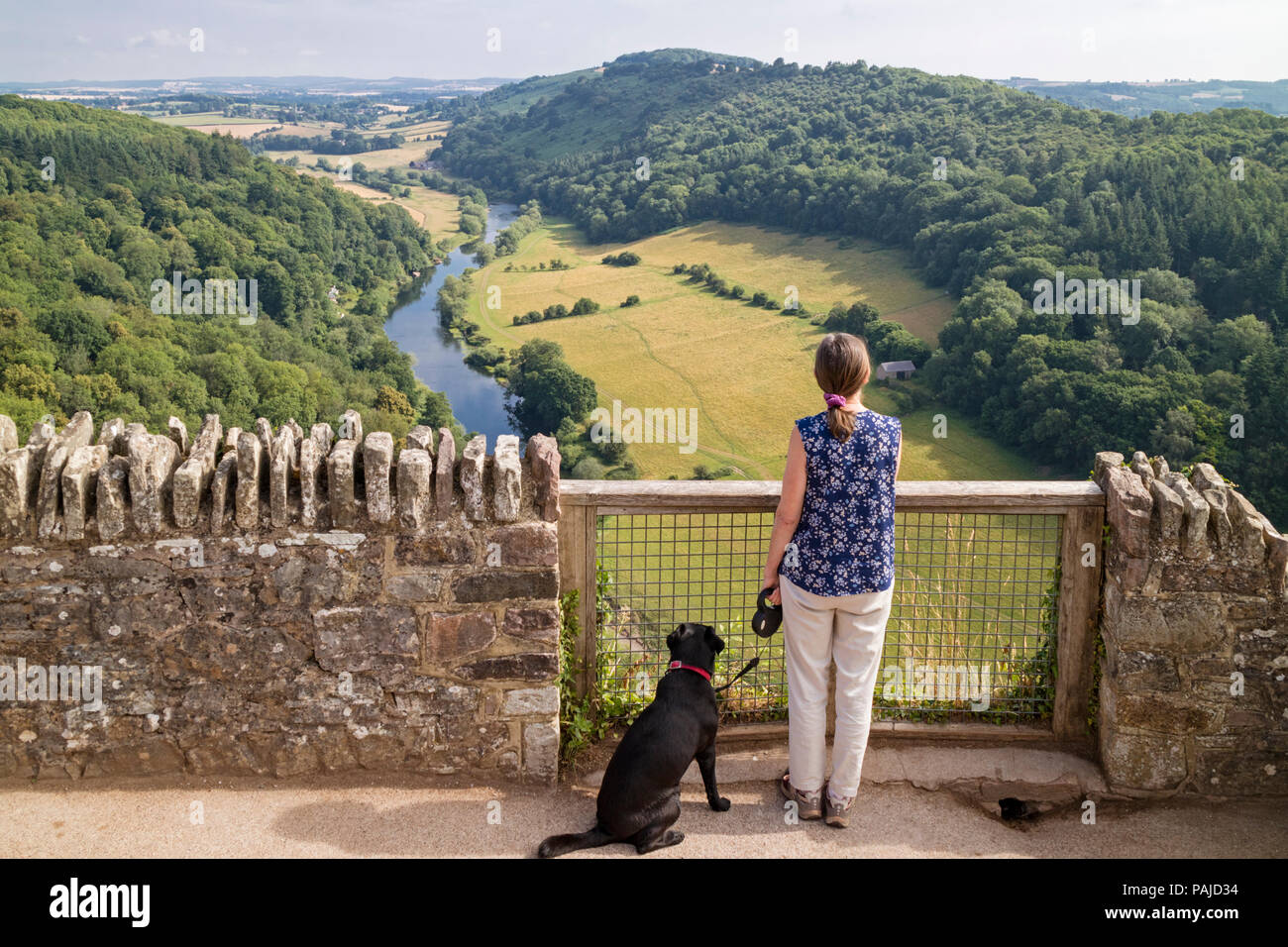 A view over the River Wye at Symonds Yat Rock, Herefordshire, England, UK. Stock Photo