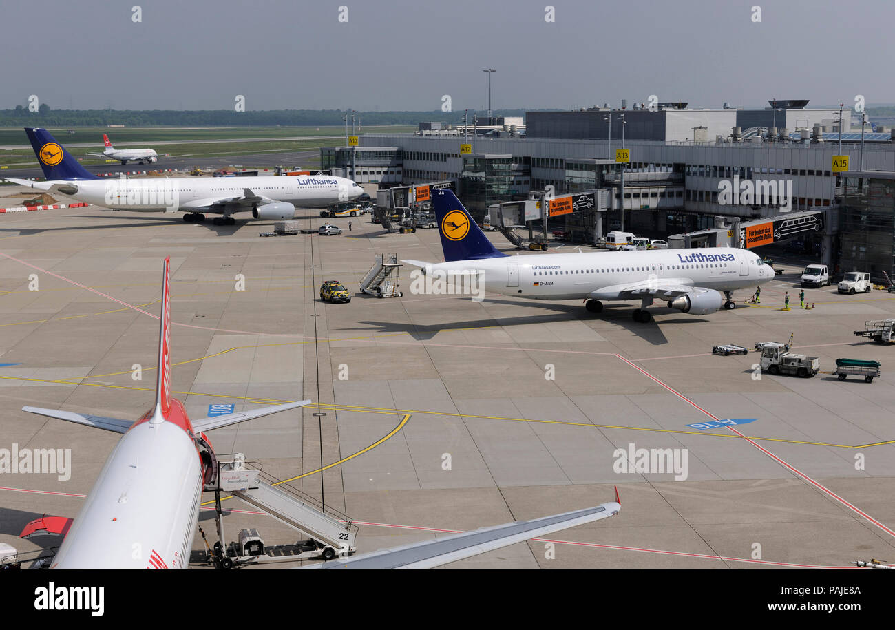 Lufthansa Airbus A320-200 with A330-300 parked at the terminal, Air Malta A320-200 taxiing behind Stock Photo