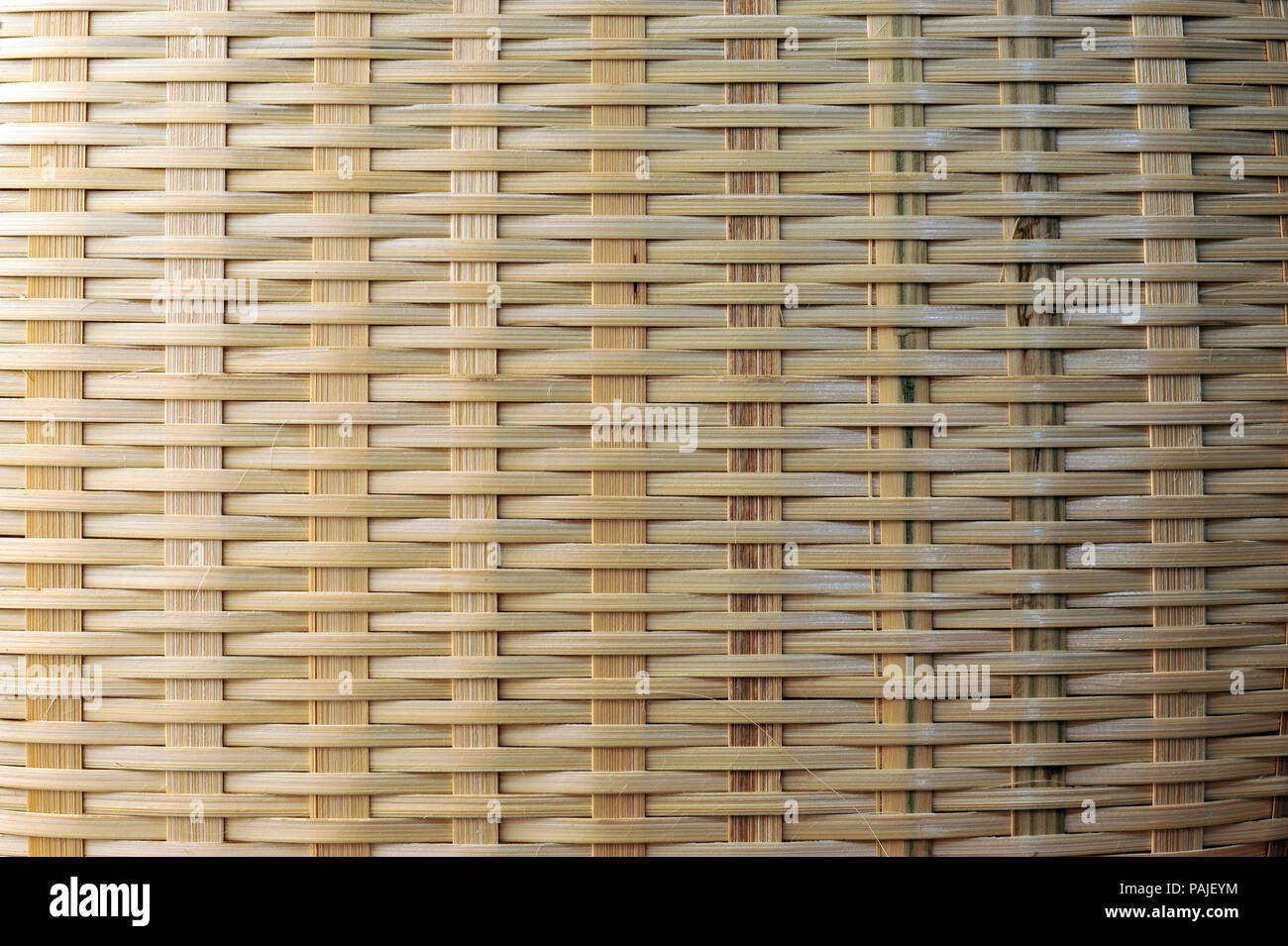 Bamboo fence texture Stock Photo