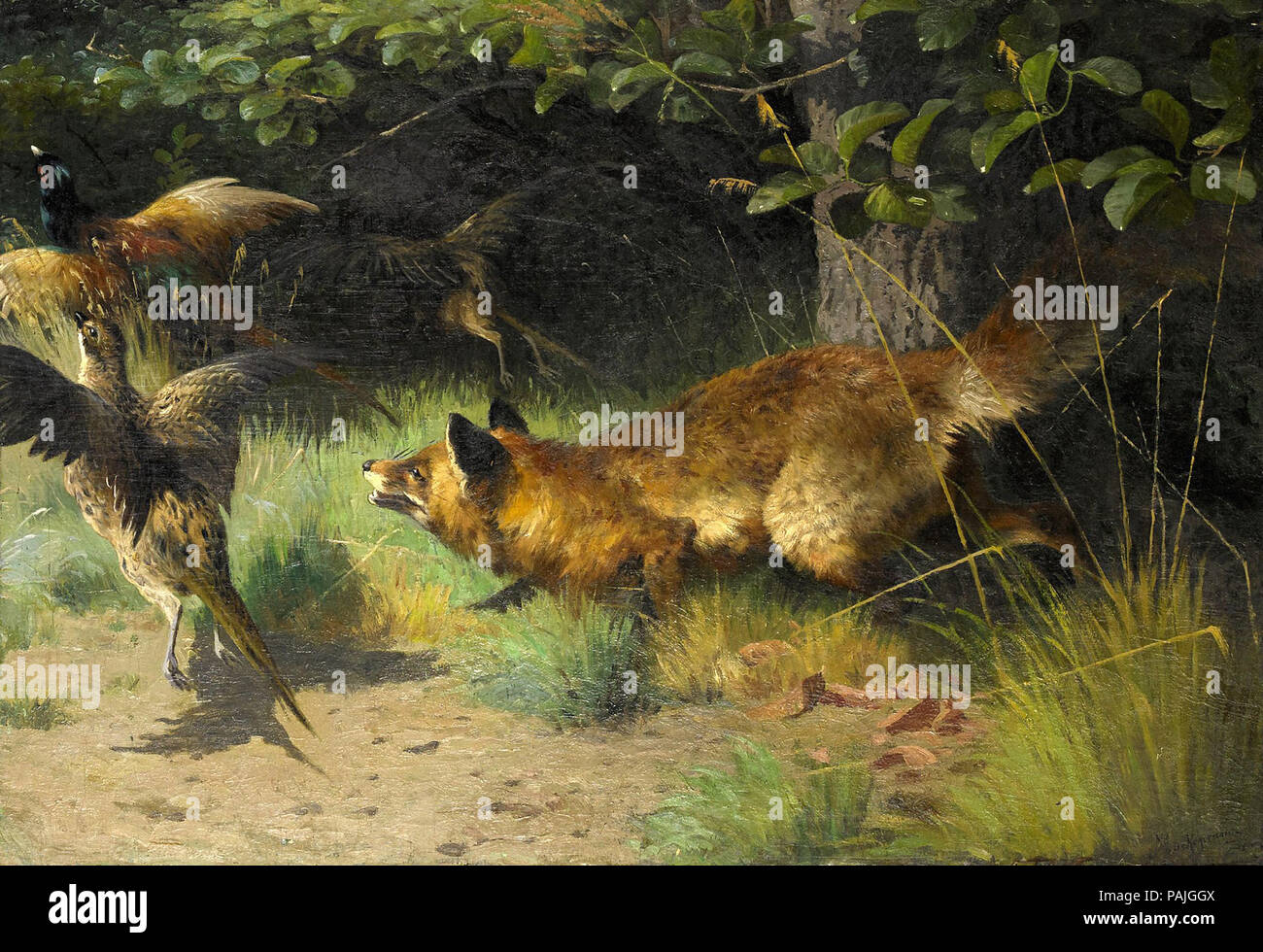 Mackeprang Adolph Henrik Fox Hunting Pheasants Stock Photo Alamy