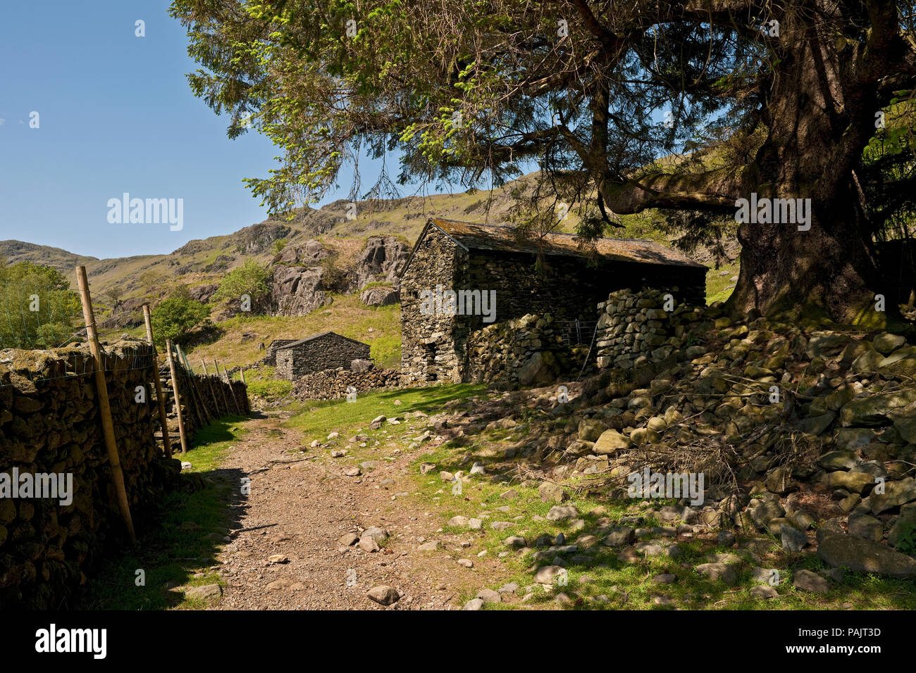 Stone barn farm building beside footpath track in spring Easedale Cumbria Lake District National Park England UK United Kingdom GB Great Britain Stock Photo