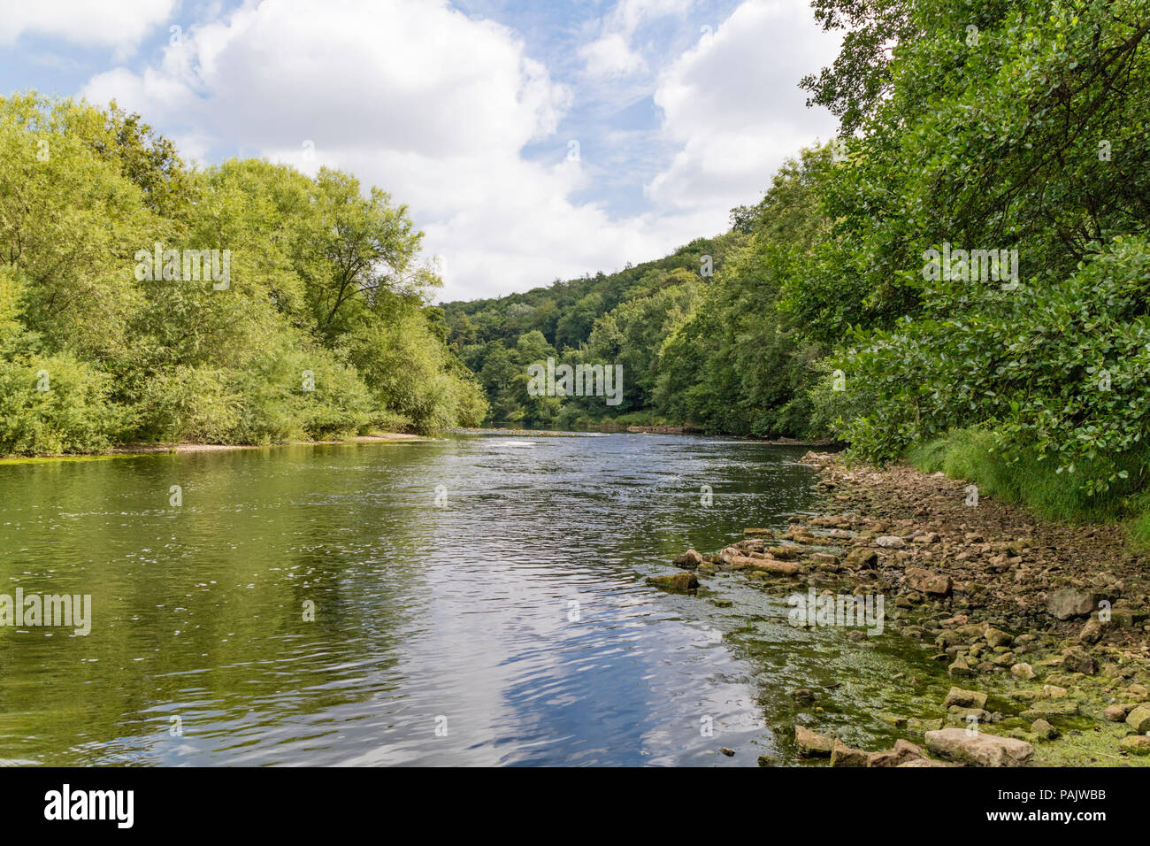 River Wye near Symonds Yat, Herefordshire, England, UK Stock Photo